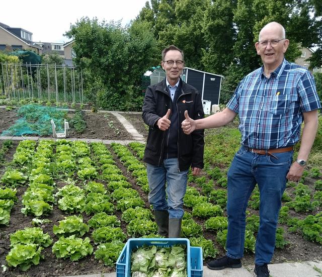 Oogst is voor Voedselbank Dronten begonnen