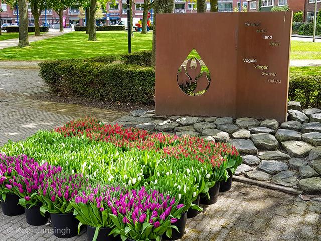 Swifterbant herdenkt en viert 4 en 5 mei met gevarieerd programma