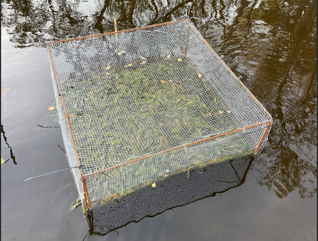 Nieuw onderzoek versnelt herstel van Wateras De Gilden in Dronten