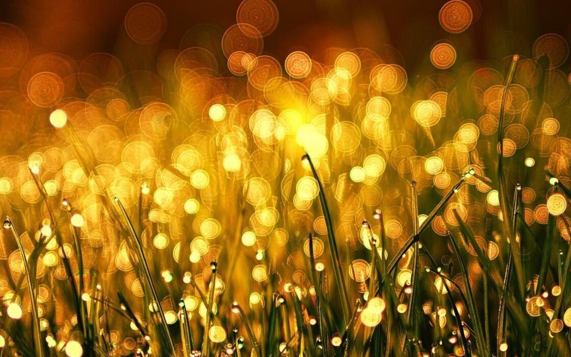 Column Bart van der Wal | Verrekte moeilijk - Flevopost