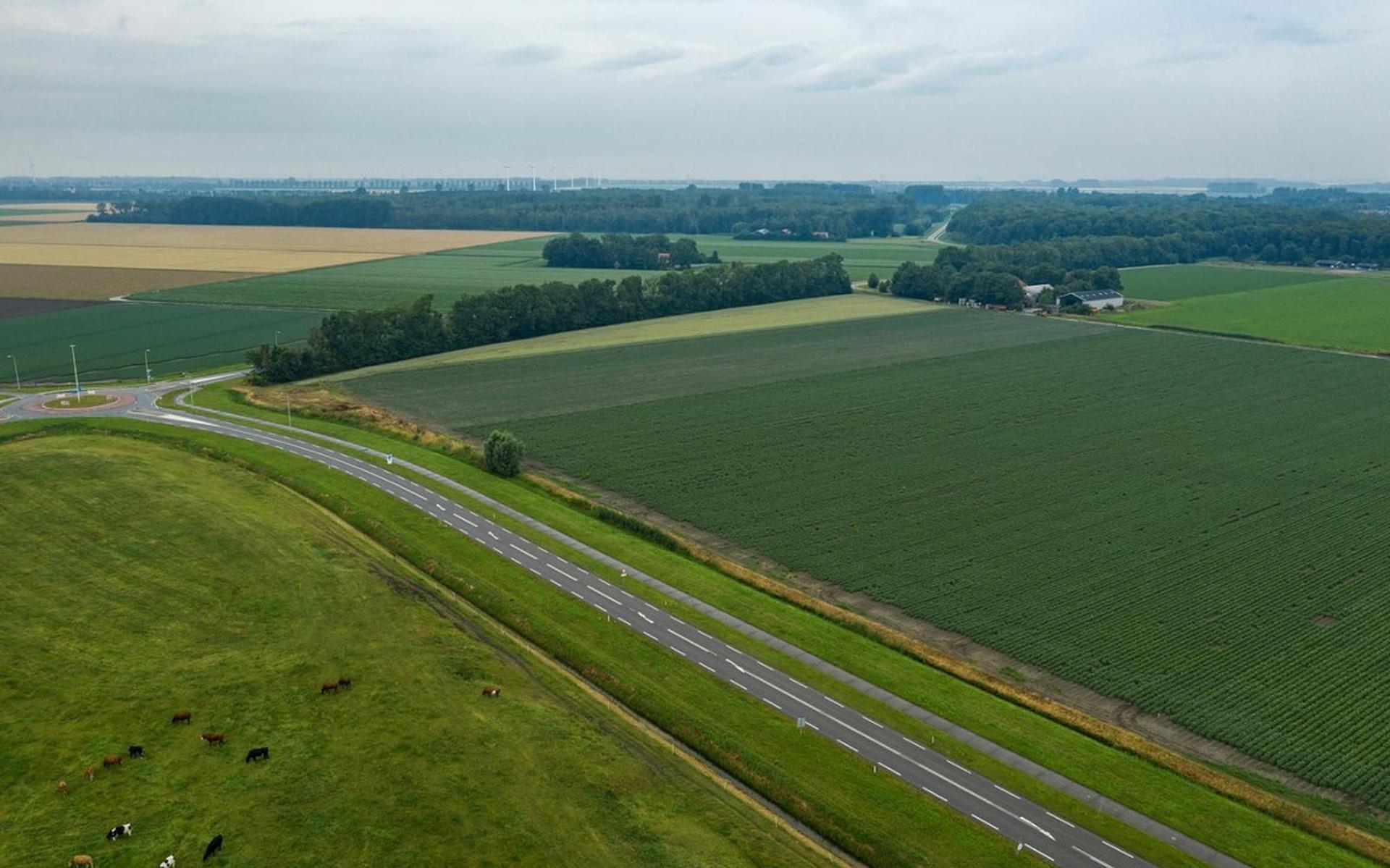 De huidige aansluiting van de Biddingweg op de Bisonweg ten zuiden van Swifterbant.
