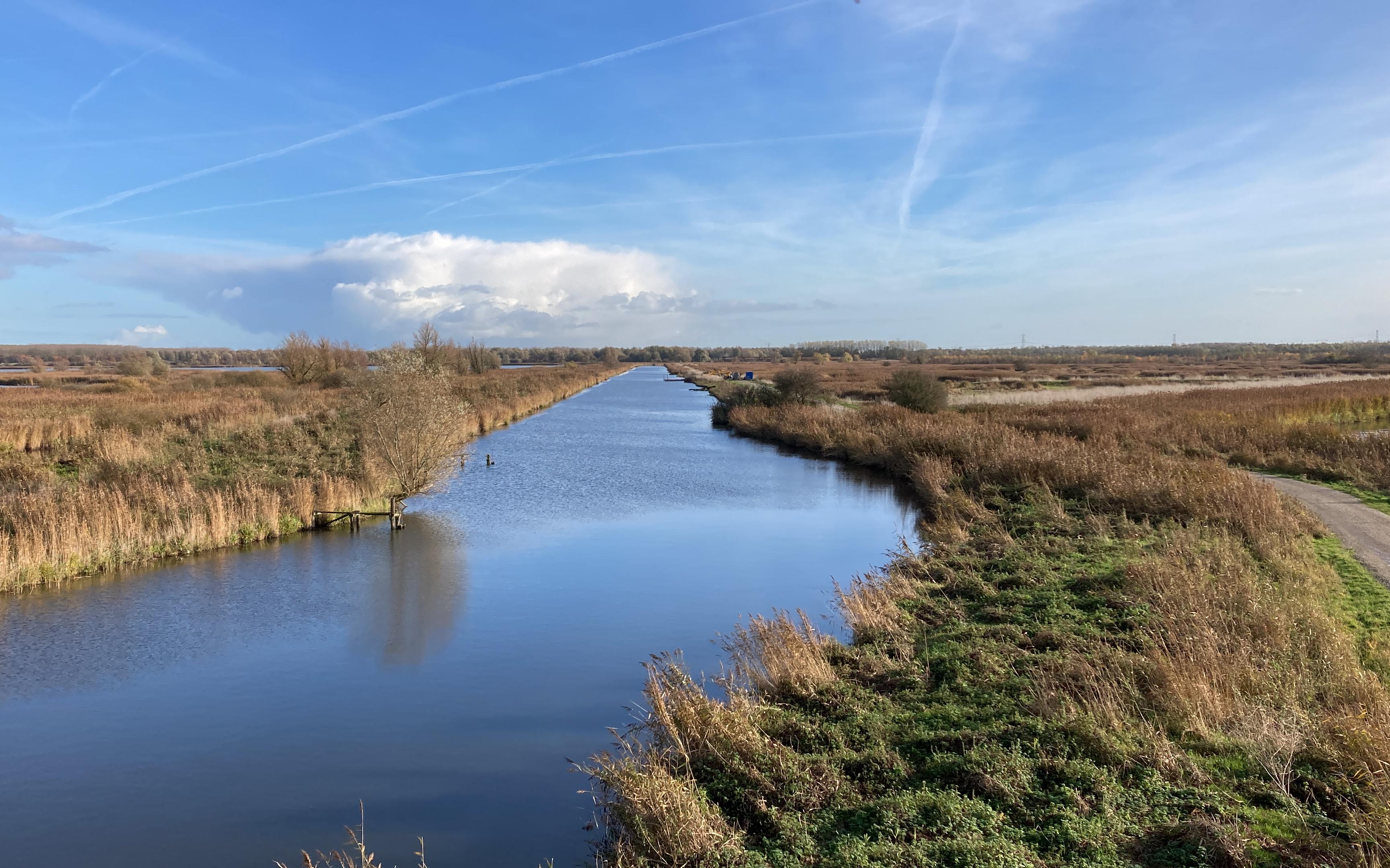 Wintersluiting Oostvaardersplassen: delen van natuurgebied tijdelijk dicht voor bezoekers