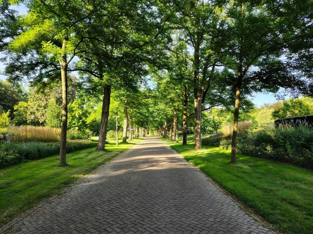 Wandeling maken over begraafplaats De Wissel in Dronten