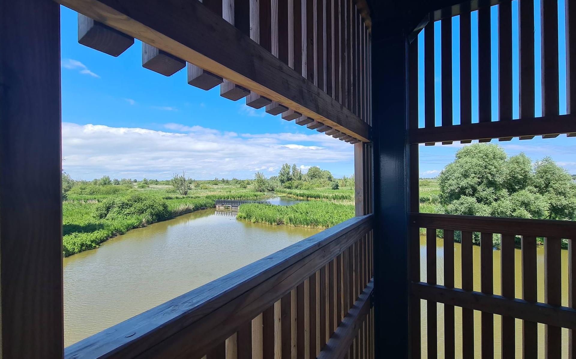 Uitkijktoren ‘Roerdomp’ nieuw hoogtepunt in de Oostvaardersplassen