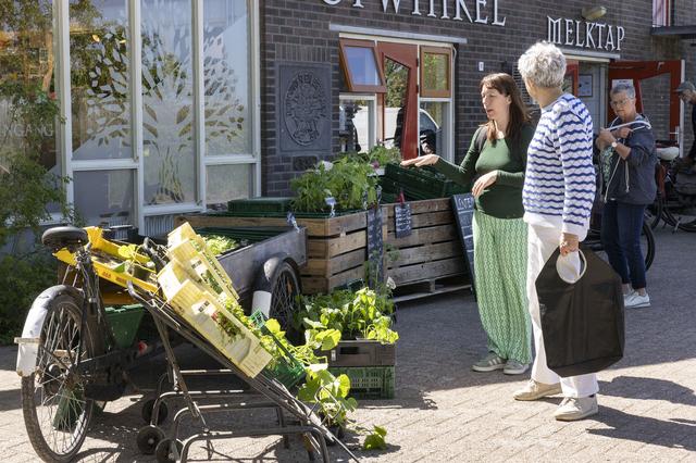 Lente-oogstmarkt biedt verse groenten en plantjes