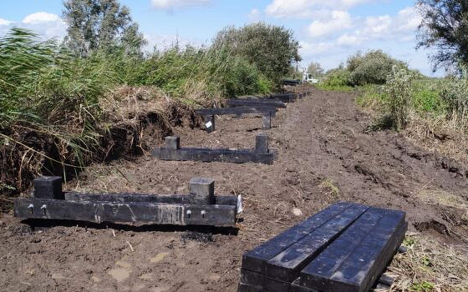 Zonder gids moeras Oostvaardersplassen verkennen via nieuw vlonderpad