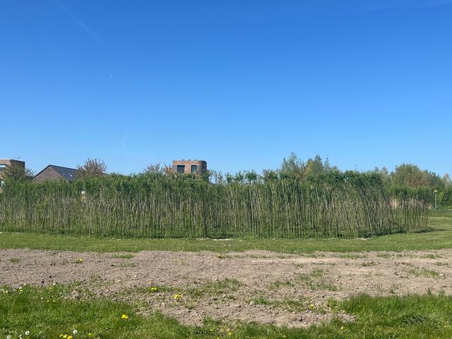 Wijkbewoners Warande houden crowdfunding voor behoud kinderdoolhof en boomgaard