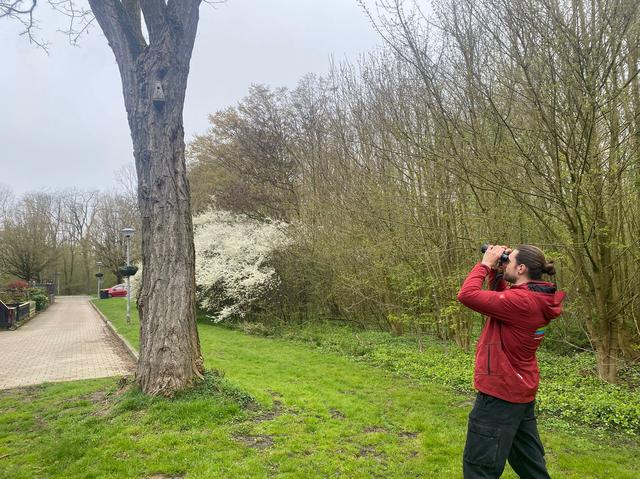 Vincent Korevaar over vogels, rupsen en burgerwetenschap in Lelystad: ‘Je hoeft geen expert te zijn’