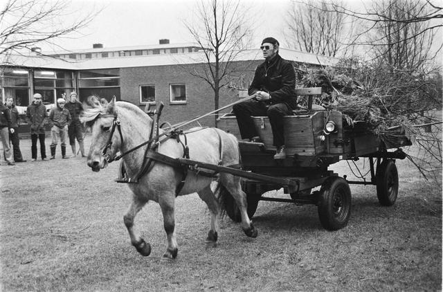 Terug naar 1 pk in Lelystad: paarden, natuur en een bijzonder gemeentelijk experiment